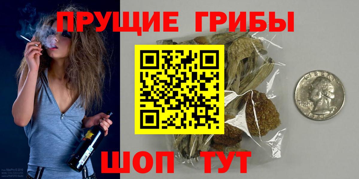 Псилоцибиновые грибы Psilocybine cubensis  Вход с VPN  Полысаево 