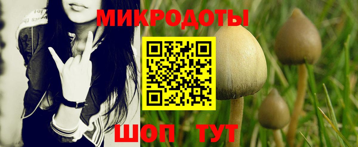 Галлюциногенные грибы прущие грибы Полысаево